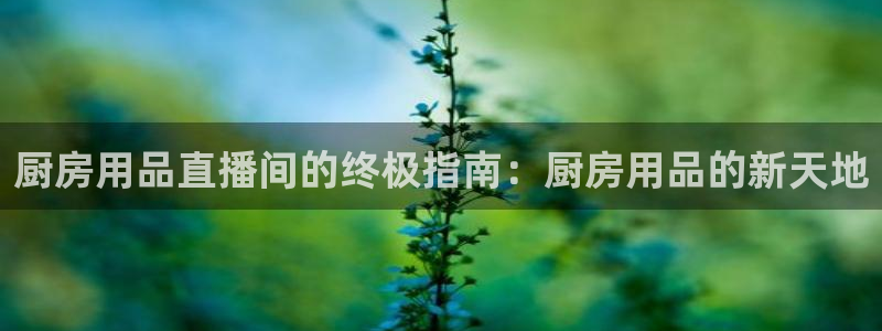 鸿运官方网站登录入口|厨房用品直播间的终极指南：厨房用品的新天地